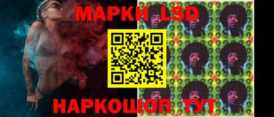 гидропоника Майкоп