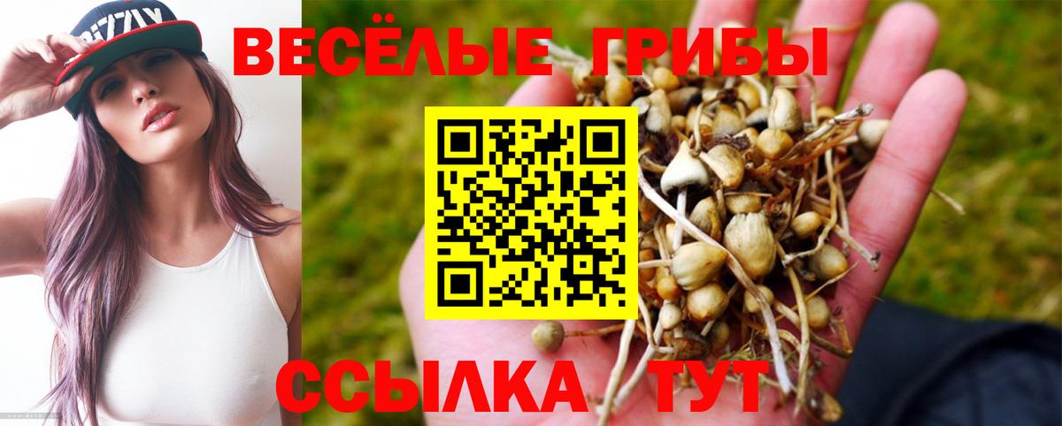 Псилоцибиновые грибы Psilocybe  даркнет сайт  Галлюциногенные грибы мухоморы  Заволжье  Вход с VPN 